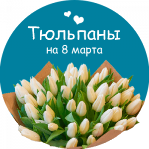 Купить тюльпаны в Красногорске